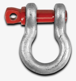3/4" D-ring / Shackles - D-ring