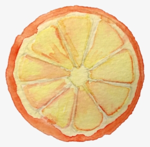 Some Of The Concepts That We Can Explore Together Are - Marine Invertebrates