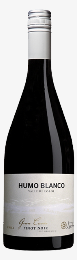 Humo Blanco - Olivier Bernstein Chambertin Grand Cru 2015
