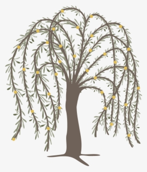 Willow Png