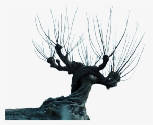 Can Make A Prop That Looks Like It From The Movie - Harry Potter Whomping Willow Png