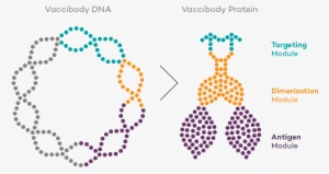 The Technology Platform Is Versatile And The Vaccines - Zoom Video Communications