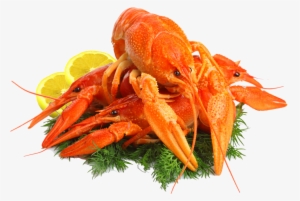 Themed “connecting World Seafood With The Pacific”, - Seafood Png