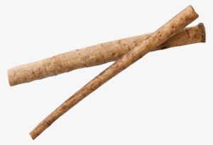 Burdock Root Png Image - Burdock Png