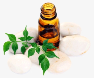 Aromatherapy Massage - Aromatherapy Png