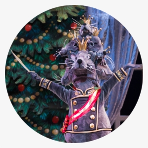 Mouse King Pnb Pinterest Dancing - The Nutcracker