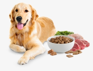Get Dog Food For A Discount - Dogs Food Vegetables Meat And Grain
