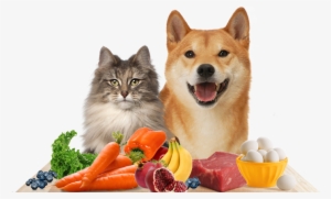 Human Food Made For Pets - Journal: Cat Inspired Cover (series #10) (notebook,