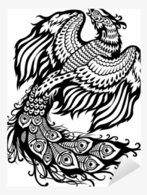 Pheonix Black And White