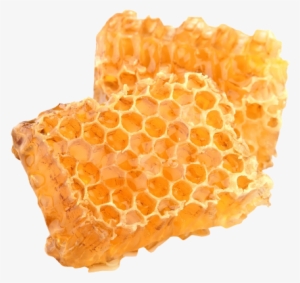 1 Kenali Beeswax Bahan Beeswax Wood Polish - Honeycomb Food