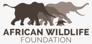 Awf Logo - African Wildlife Foundation