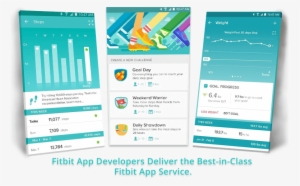 Fitbit App