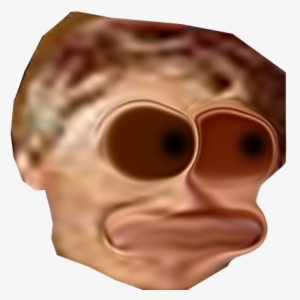 My New Pet Not Shure Of Race But As I Always Say " - Skull