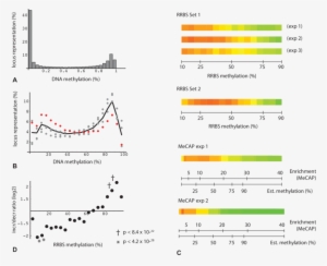 Percentage Of Loci Binned By Dna Methylation For All - Methylation