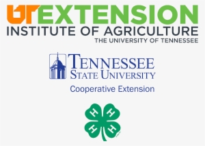 Ut Tsu 4h Avatar White - Family And Consumer Sciences Ut Extension