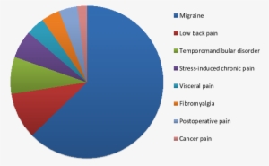 Chronic Pain Conditions Quantified By The Number Of - Chronic Pain Conditions