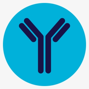 Crysvita Is An Antibody That Helps Restore The Balance - Antibody