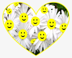Happy Face Daisy Flowers Smiley Smiling Wh - Smile