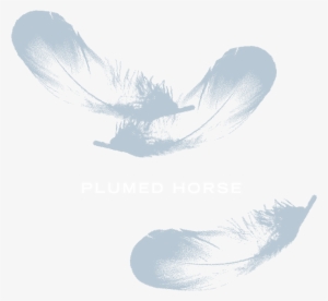 Plumed Horse - Illustration
