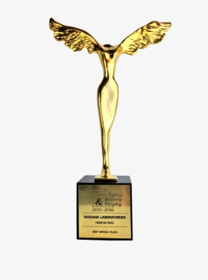Prize And Awards - Anti Aging And Beauty Trophy 2017