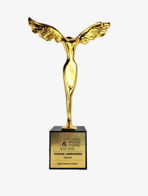 2015-2016 - Redermalization