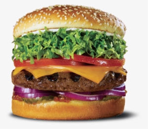 This Would Cost $9 - Red Robin Gourmet Cheeseburger