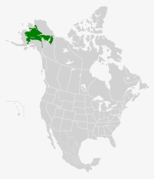 Banner Royalty Free Alaska Vector Map - Saint Elias Mountains Map