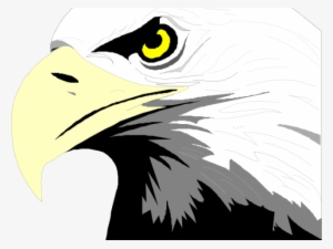 Eagle Head Clipart - Cape Breton Screaming Eagles Logo