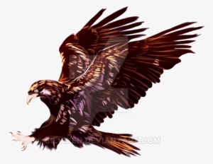 Tiger The Eagle Print- Artist Proof - Eagle