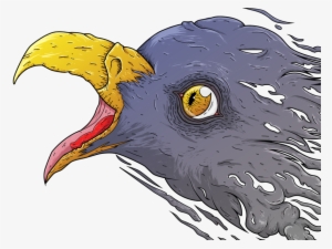 Head Of The Eagle Illustration - Illustration