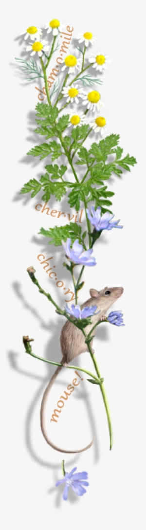 Evil Overlord Of The - Drawing