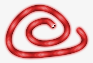 For Psd All Skins And How To Use - Slither Io Snake Transparent