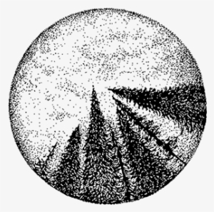 "fir Sky" Pointillism Blackwork Illustration, Tattoo - Library