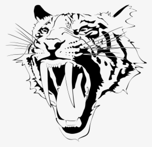 Saber Tooth - Bengal Tiger