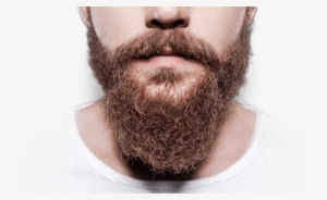 The Shaving Co Beard Oil Works - Gentleman's Beard Club Results