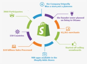 Shopify Store Development - Social Media Reach Infographic