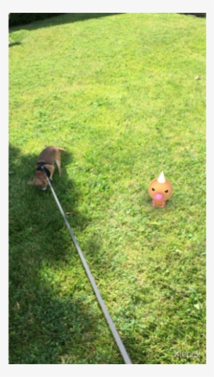 Ahgemhhqdgvyvgnor7nc - Pokemon Go On Grass