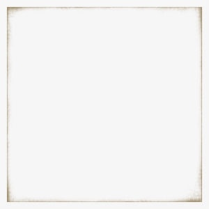 Shabby Overlay Photo Sp Vintageflorals Shabbyoverlay - Paper