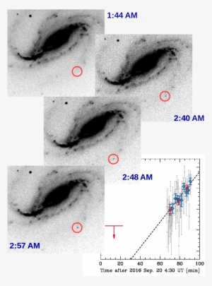 Víctor Buso's Images, Showing The Sudden Emergence - Victor Buso