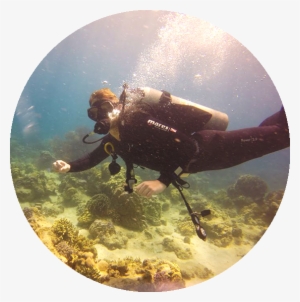 The Shack Vietnam Nha Trang Scuba Diving Courses And - Nha Trang