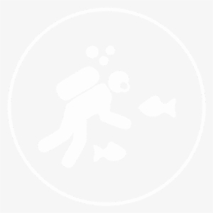 Experience Scuba In Andamans - Scuba Diving