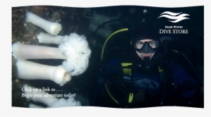 Subscribe To The Frankwhites Newsletter - Scuba Diving