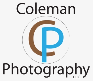 Yolk Sac And Fetus 7 Weeks