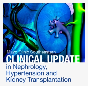 Course - Kidney