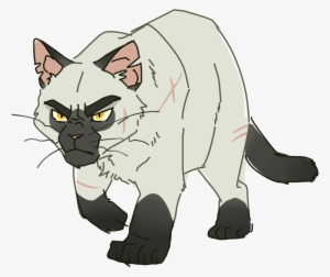 100 Warrior Cats Challenge - Blackstar Warriors