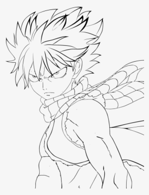 Fairy Tail Line Art - Draw Anime Fairy Tail