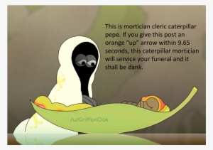 How Dank Is This Pepe Would You Buy It - Funeral Director