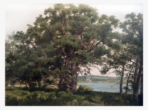 William Huston [1832-1920] - Shelter Island