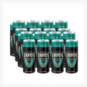 Evervess Ginger Ale Csd - Ginger Ale