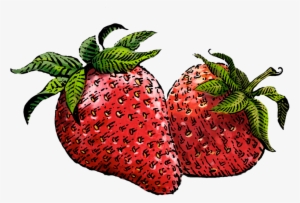 Drawn Strawberry Transparent Background - Siggi's Strawberry Yogurt